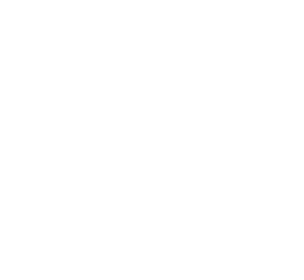 IFS token